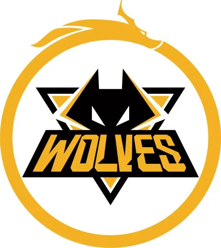 ZywOo 在电子竞技奖上获得“十年突破选手”